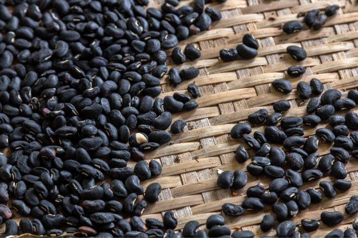 Why Black Turtle Beans? Part 2 - Nutrition