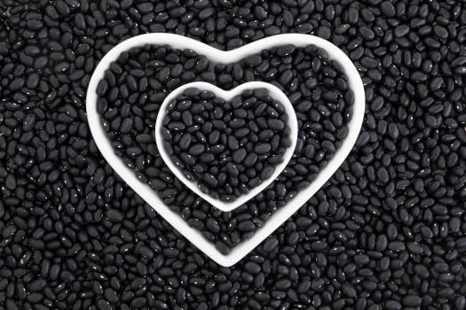 Be Still Farms, Real Fine Foods - Latest Organic Products