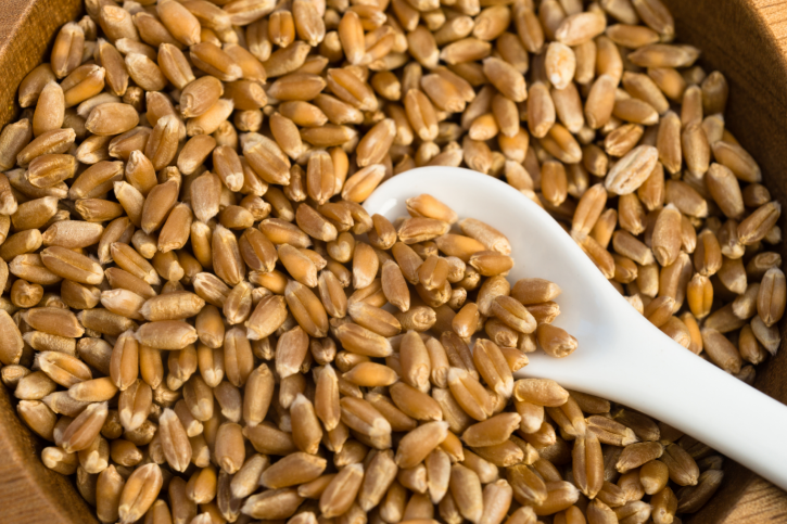 Hard Red, Hard White, and Soft White Wheat Berries - What is the Difference? Part 2