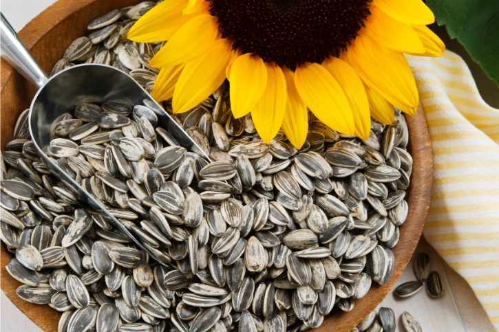 Why Sunflower Seeds? Part 1 - History