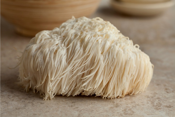Why Lion's Mane? Part 1 - History