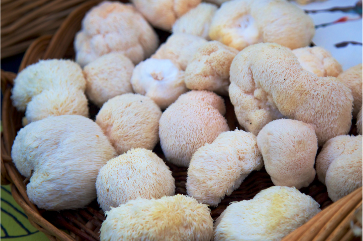 Why Lion's Mane? Part 2 - Nutrition