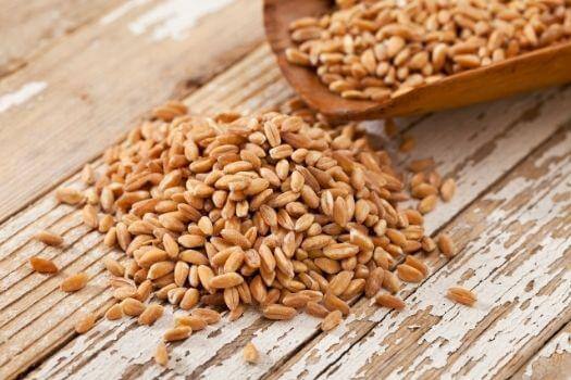 Farro - Hulled Wheat