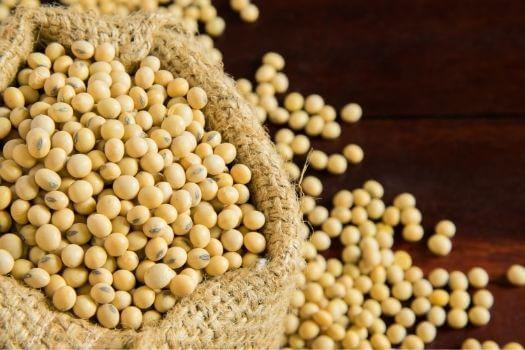 Why Soybeans? Part 1 - History