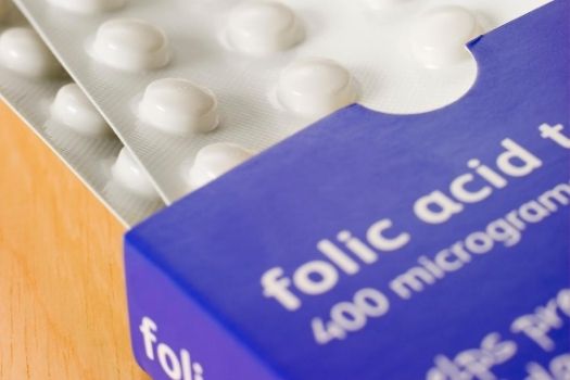 What is the difference between Folate and Folic Acid?