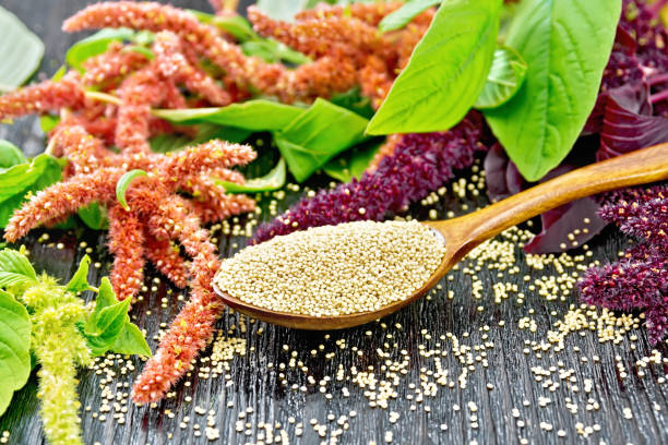 Amaranth's Role in Chronic Disease Prevention