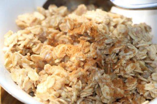 Quick Microwave Lion's Mane Oatmeal