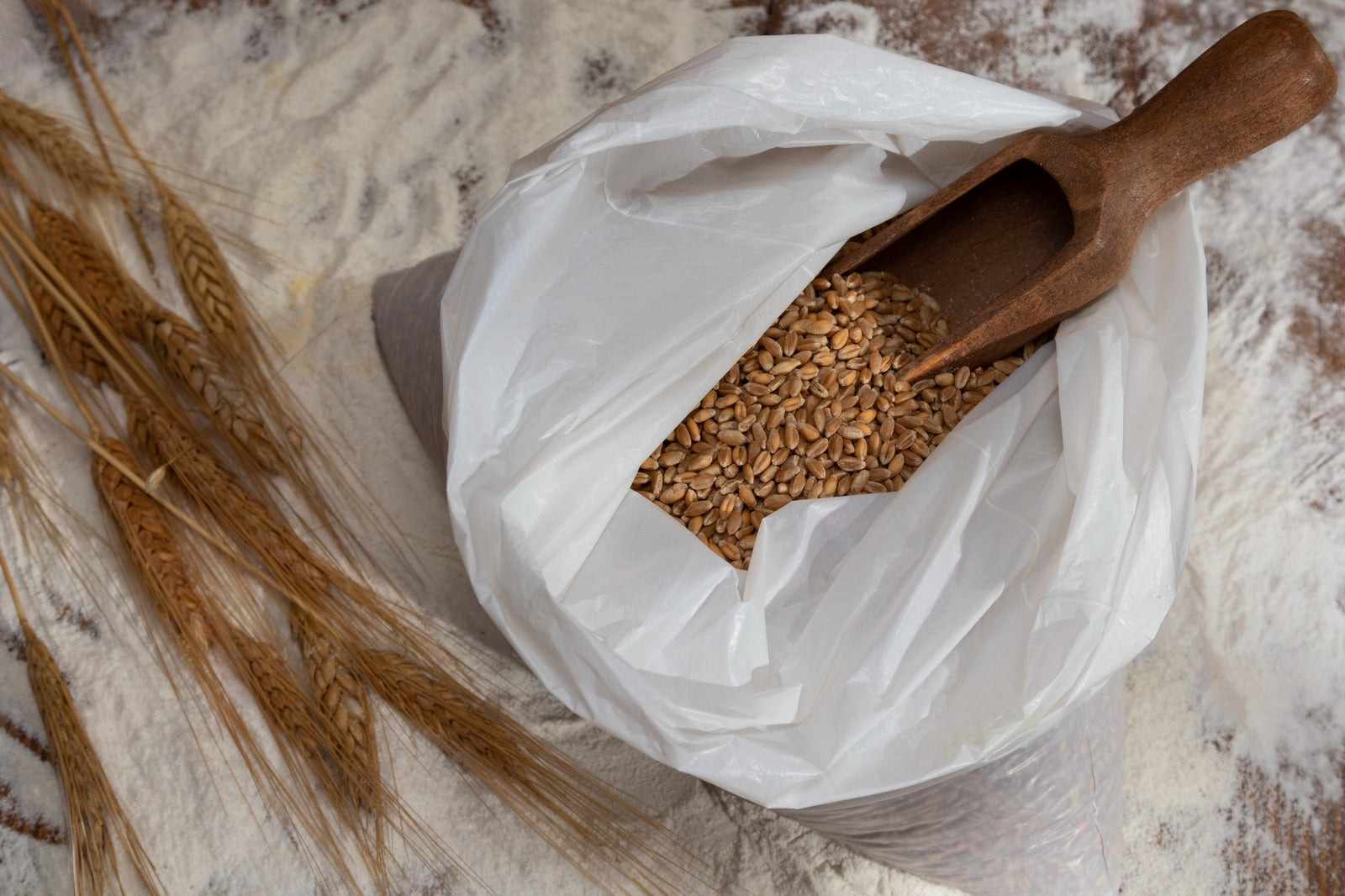 Step-by-Step Guide: How to Make Hulless Barley Flour at Home