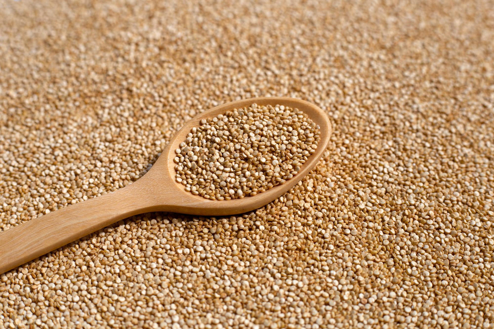 Organic Amaranth Grain: Cooking and Baking Ideas