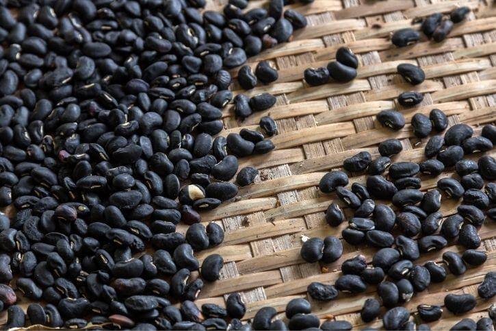 Why Black Turtle Beans? Part 2 - Nutrition - Be Still Farms- Real, Fine ...