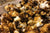 Chocolate Caramel Popcorn Crunch (a.k.a. Moose Munch) - Holiday Recipe