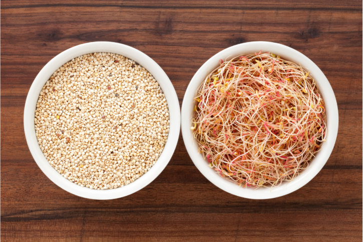 Sprouting Quinoa