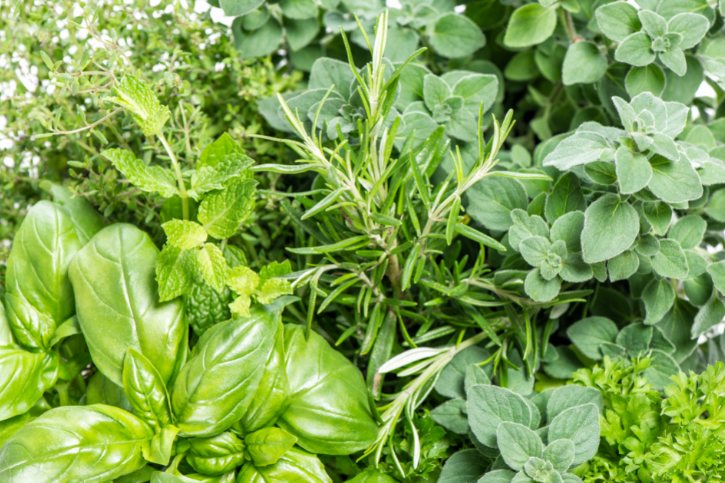 Herbs & Spices - Rosemary and Oregano