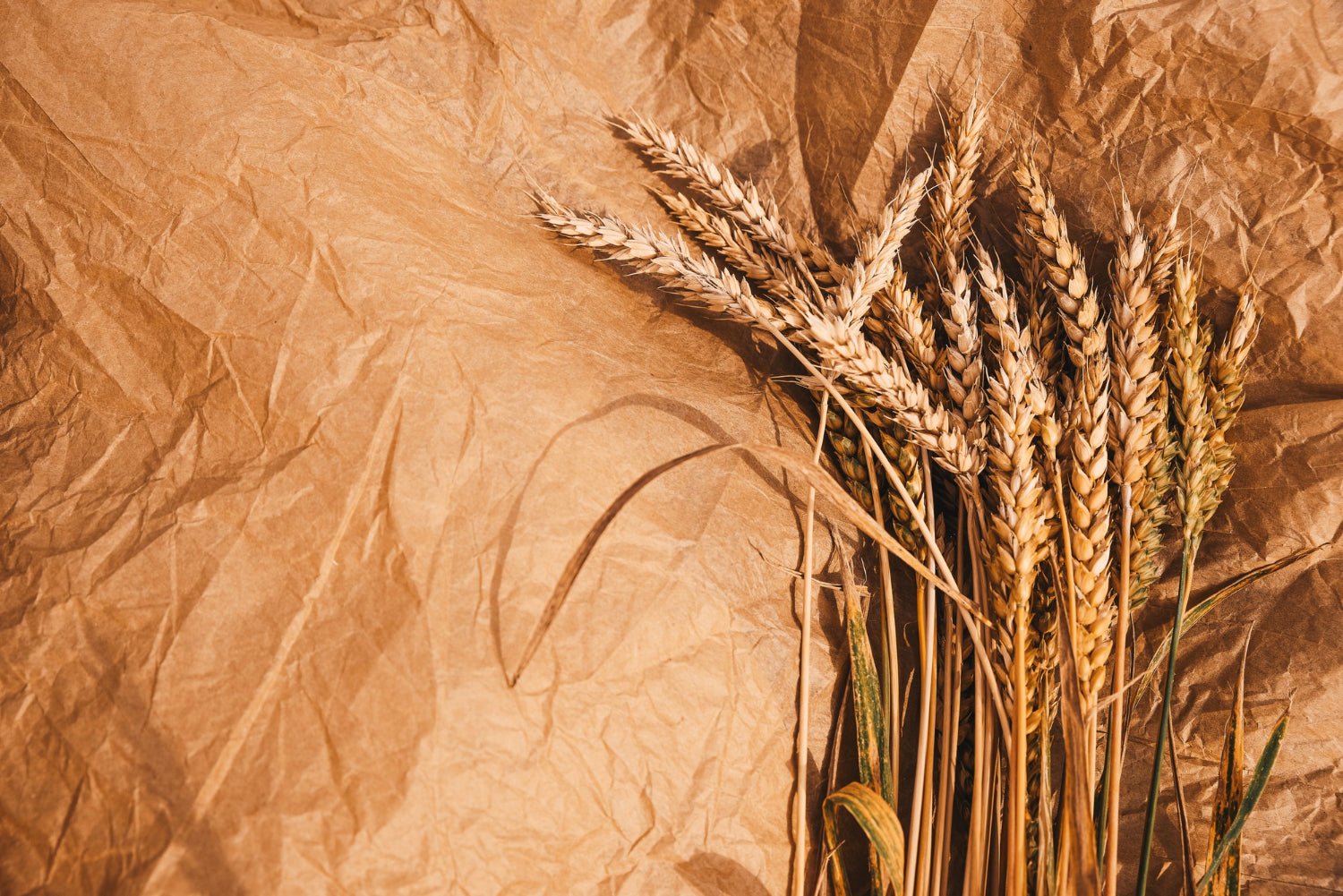 Discovering Farro: Unraveling the History, Nutritional Value, and Versatility of this Ancient Grain