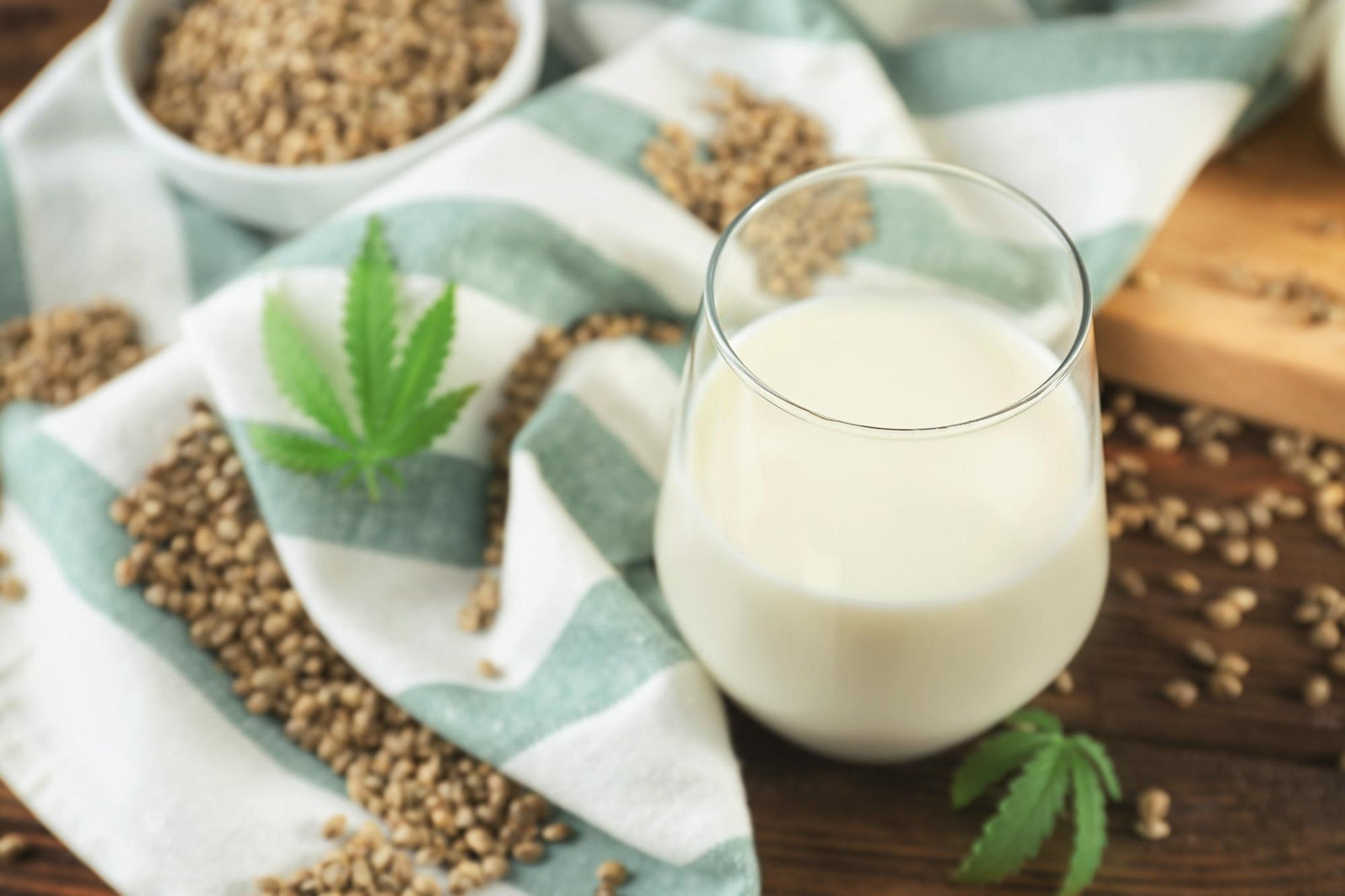 Creamy and Nutritious Hemp Hearts Milk: A Simple Vegan Recipe