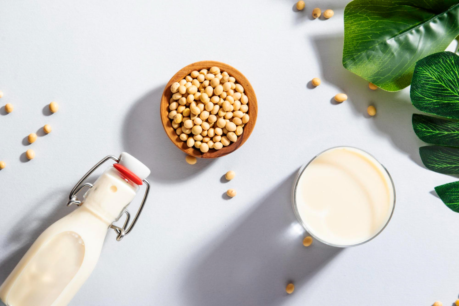 The Health Benefits of Soybeans: A Natural Superfood - Be Still Farms- Real, Fine Organics
