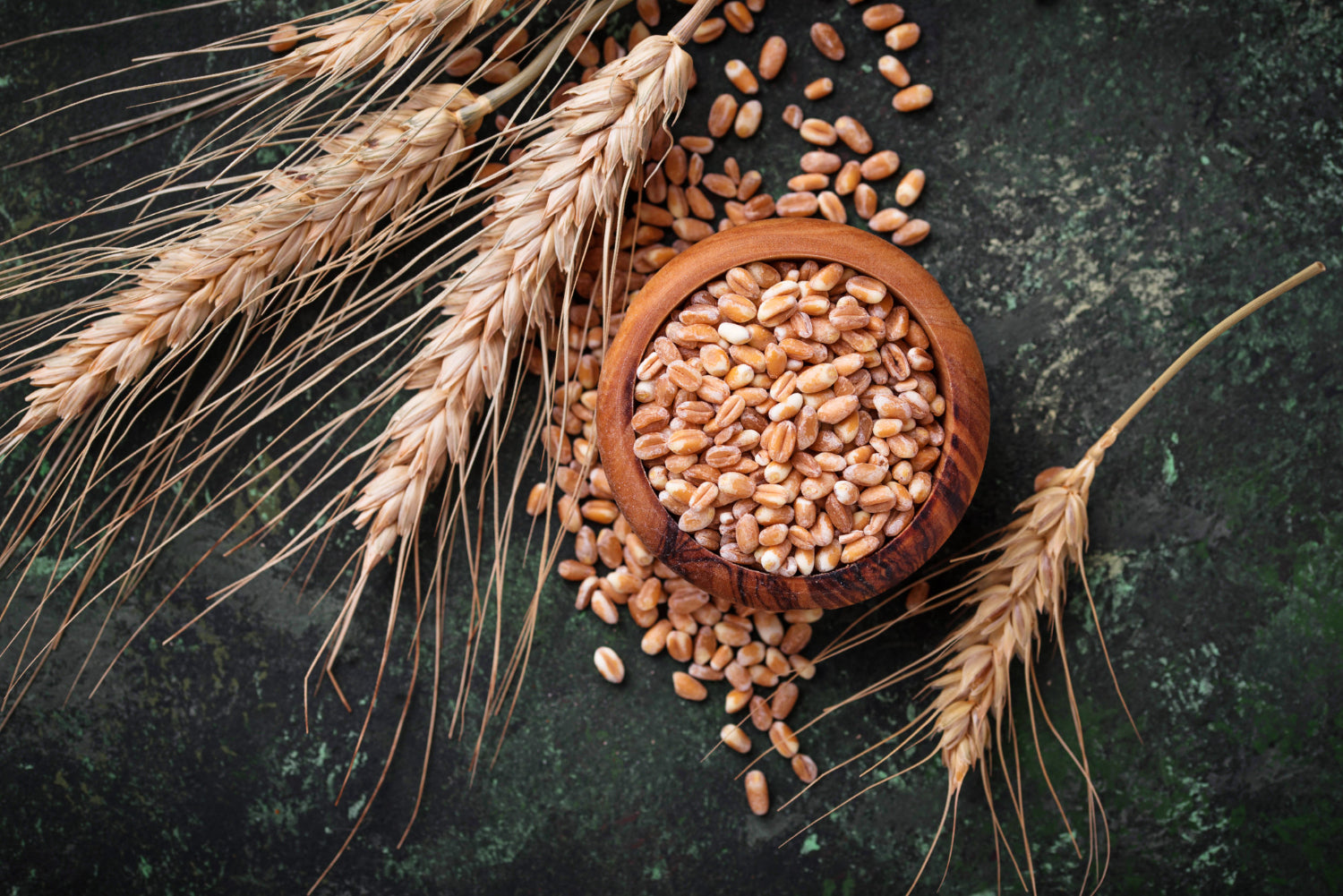 Wheat Berries in Your Diet: Facts and Benefits