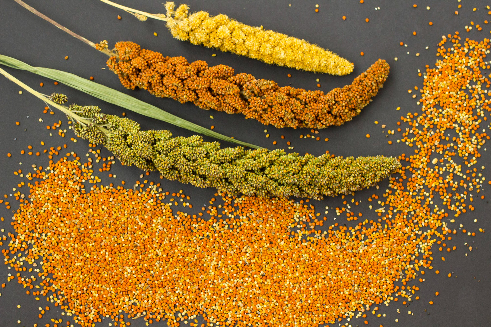 Hulled Millet: A Versatile Gluten-Free Grain