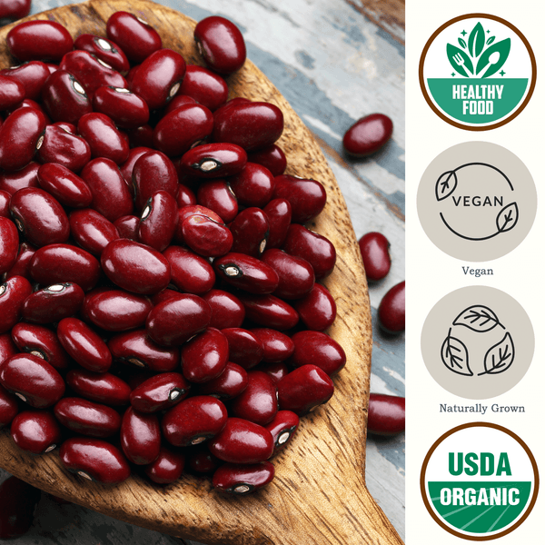 Organic Small Red Beans, Non-GMO, Bulk Small Red Beans - Be Still Farms ...