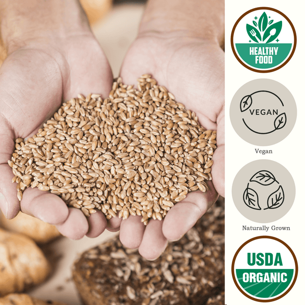 Organic Soft White Wheat Berries, NonGMO, Bulk Soft White Wheat Berri