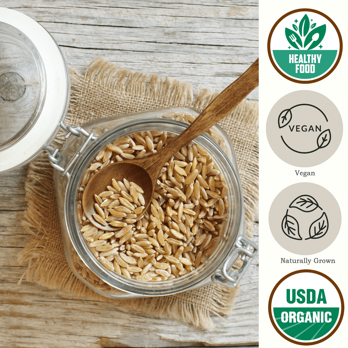 Organic KAMUT️ Khorasan Wheat Berries USDA Organic - Be Still Farms