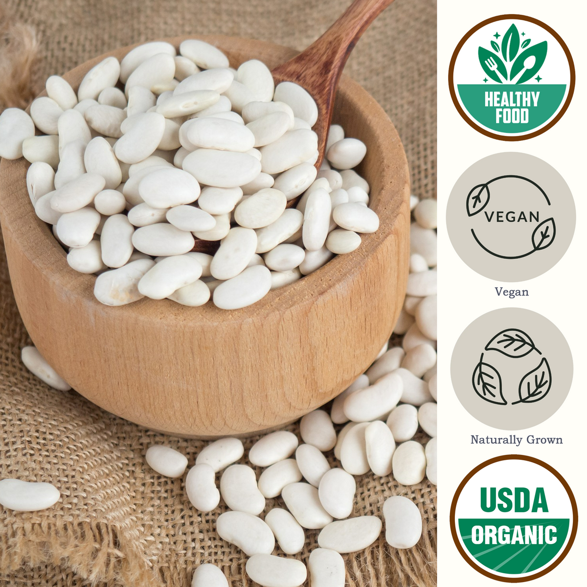 Organic Navy Beans USDA Organic - Be Still Farms