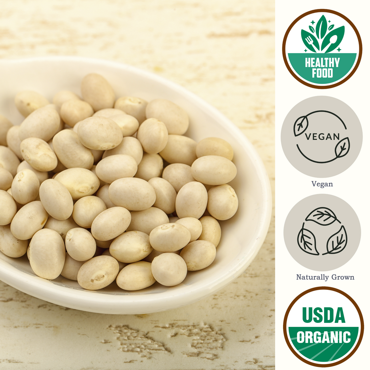 Great Northern Beans USDA Organic - Be Still Farms