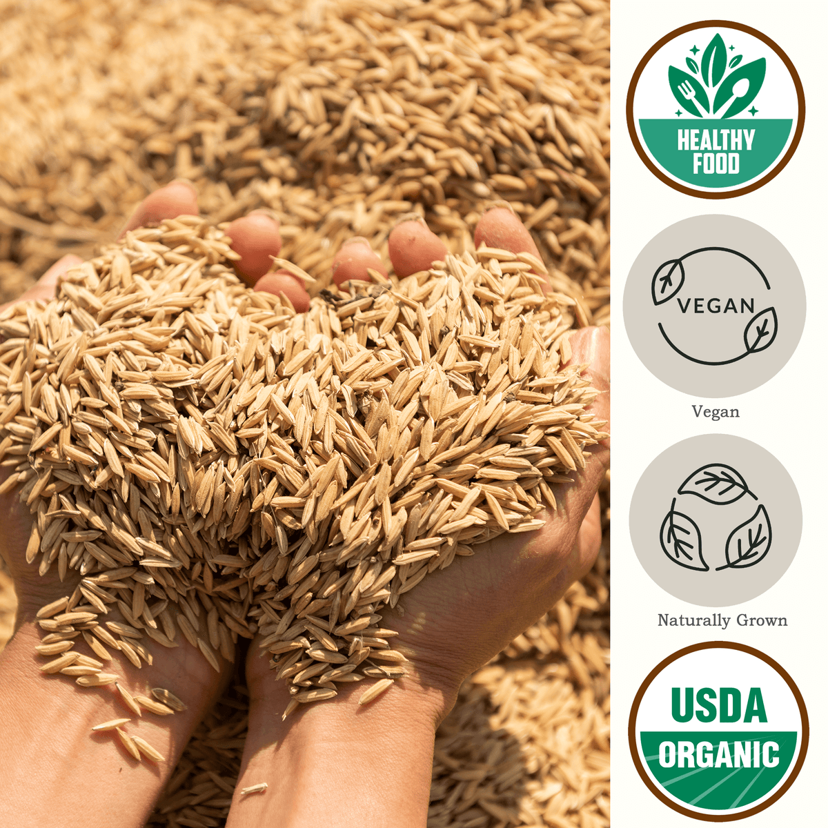 Organic Hulless Barley USDA Organic - Be Still Farms