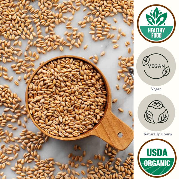 Organic Hard Red Wheat Berries, Bulk Hard Red Wheat Berries Be Still