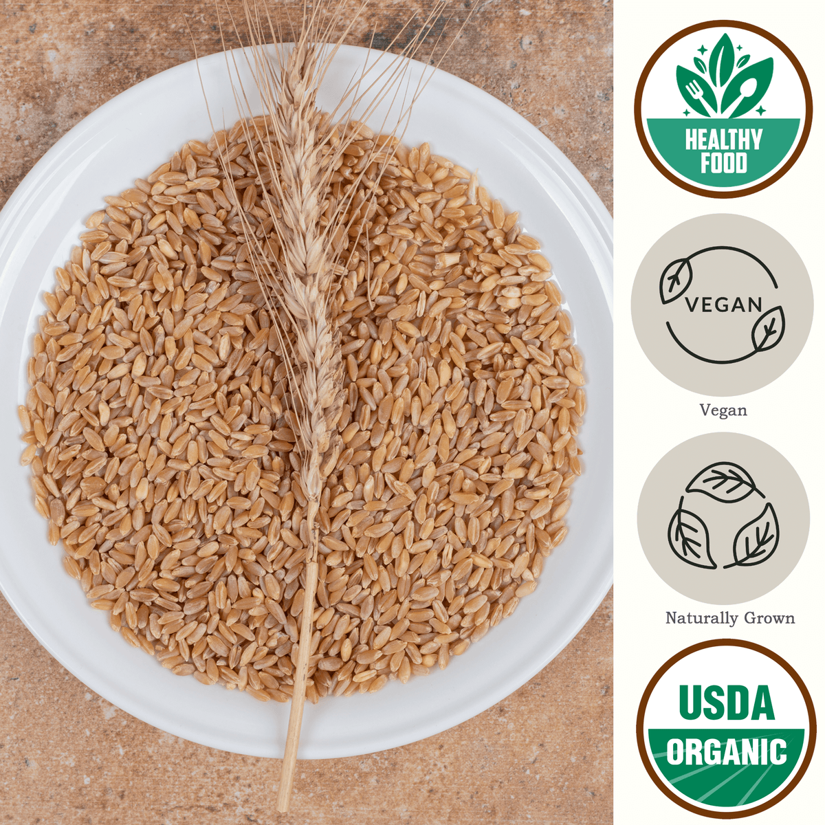 Organic Hulled Barley USDA Organic - Be Still Farms