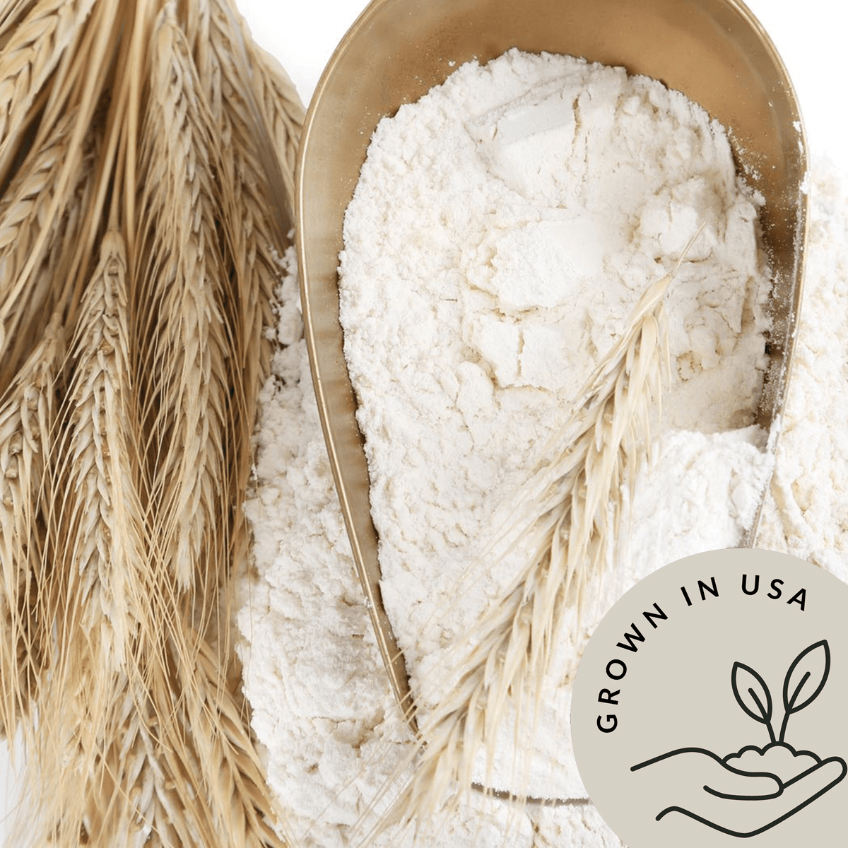 Organic Einkorn Flour, Non-GMO, Bulk Einkorn Flour Organic
