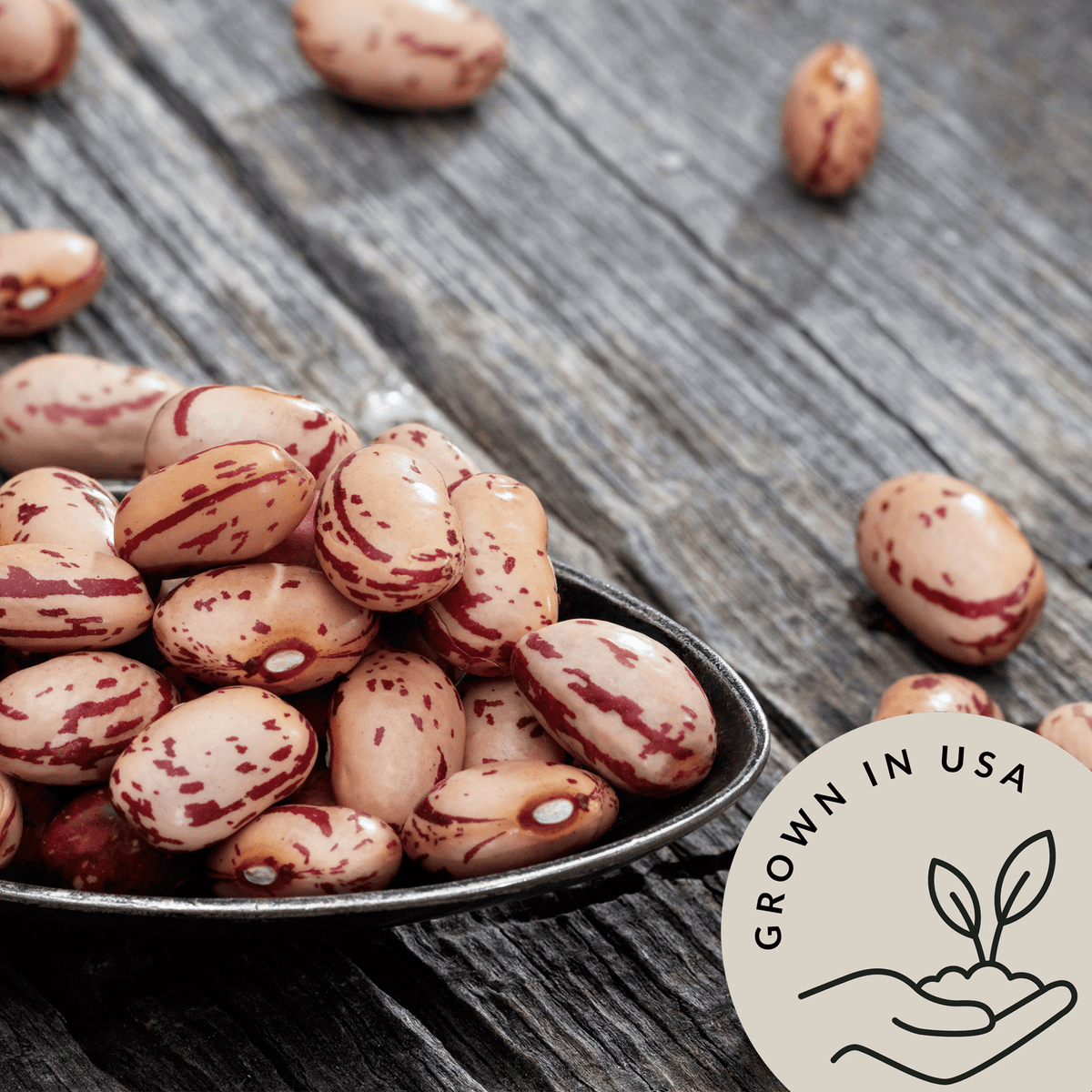 Supercharge your meals with the perfect low calorie, plant based protein