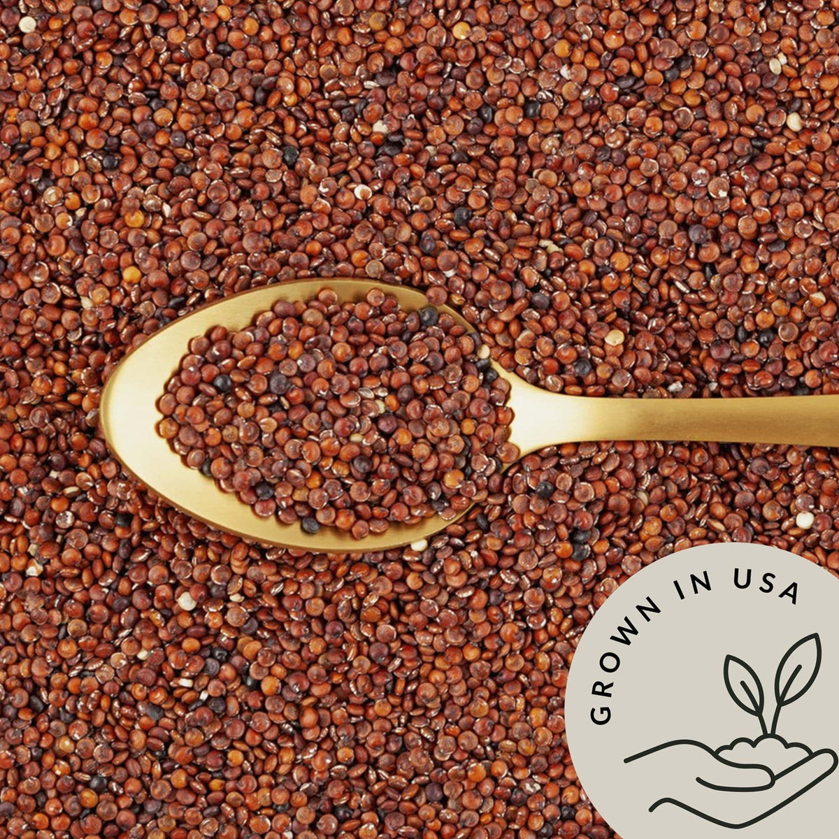 Red Quinoa USDA Organic - Be Still Farms