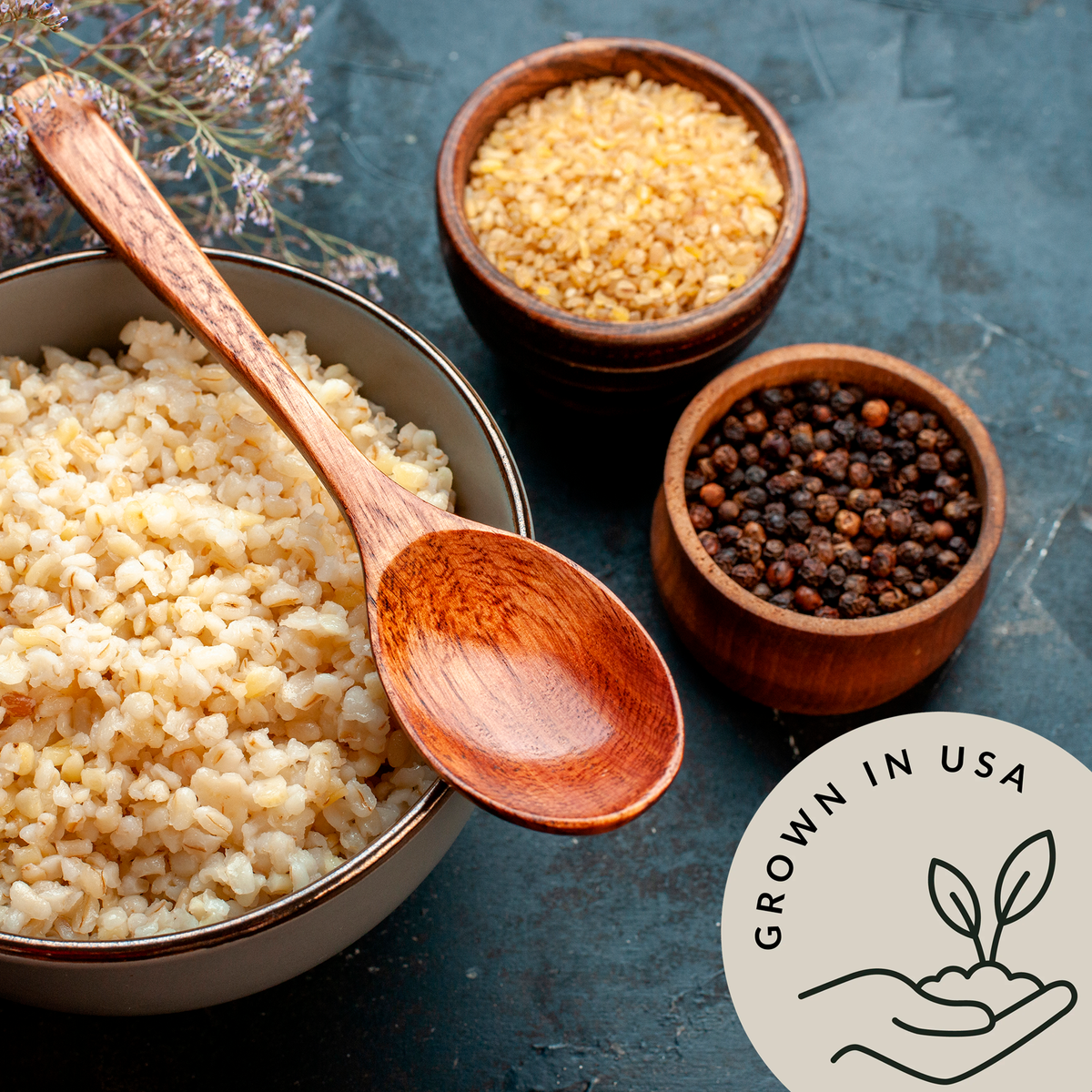 Organic Hulless Barley - Be Still Farms grown in USA