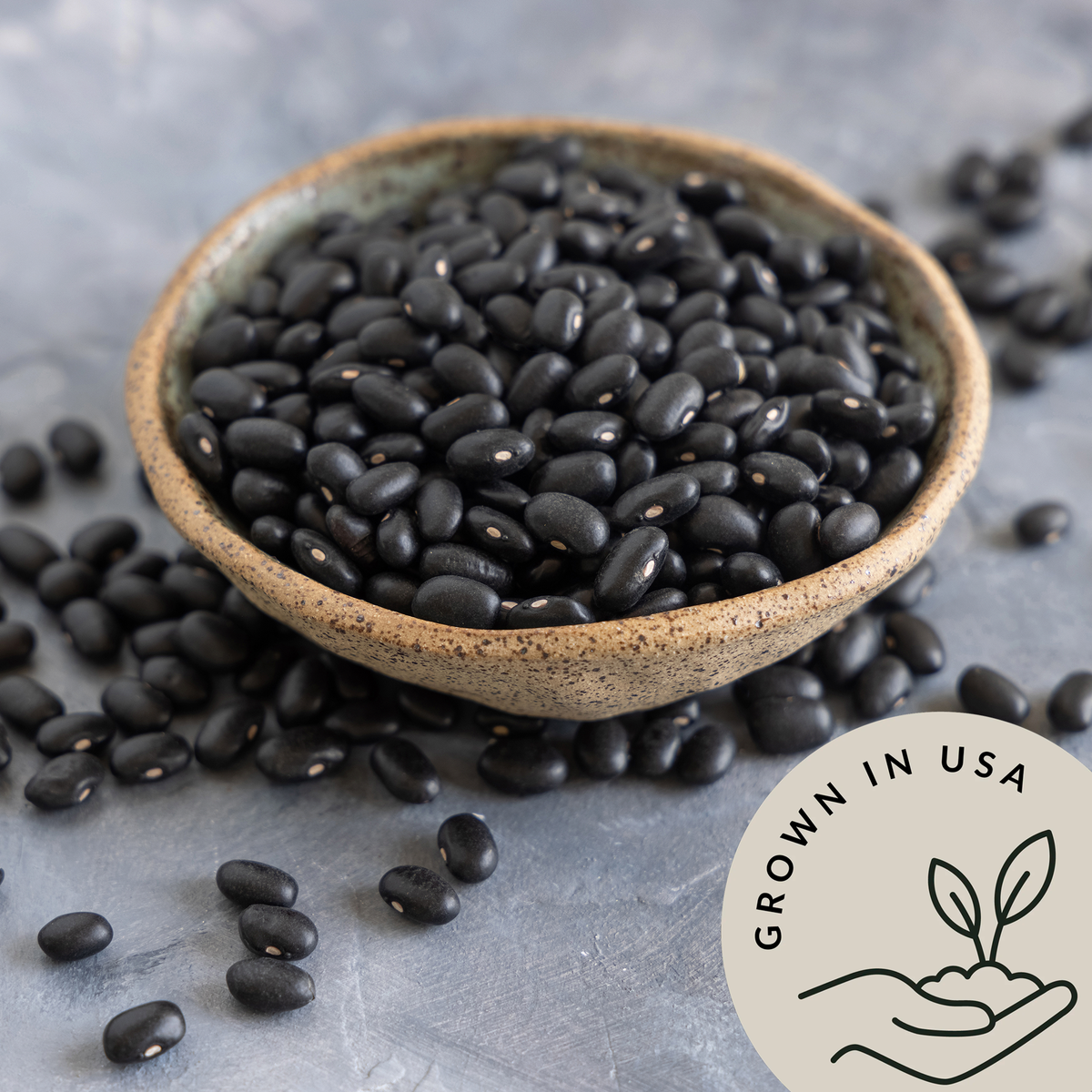 Organic Black Turtle Beans - Be Still Farms grown in USA