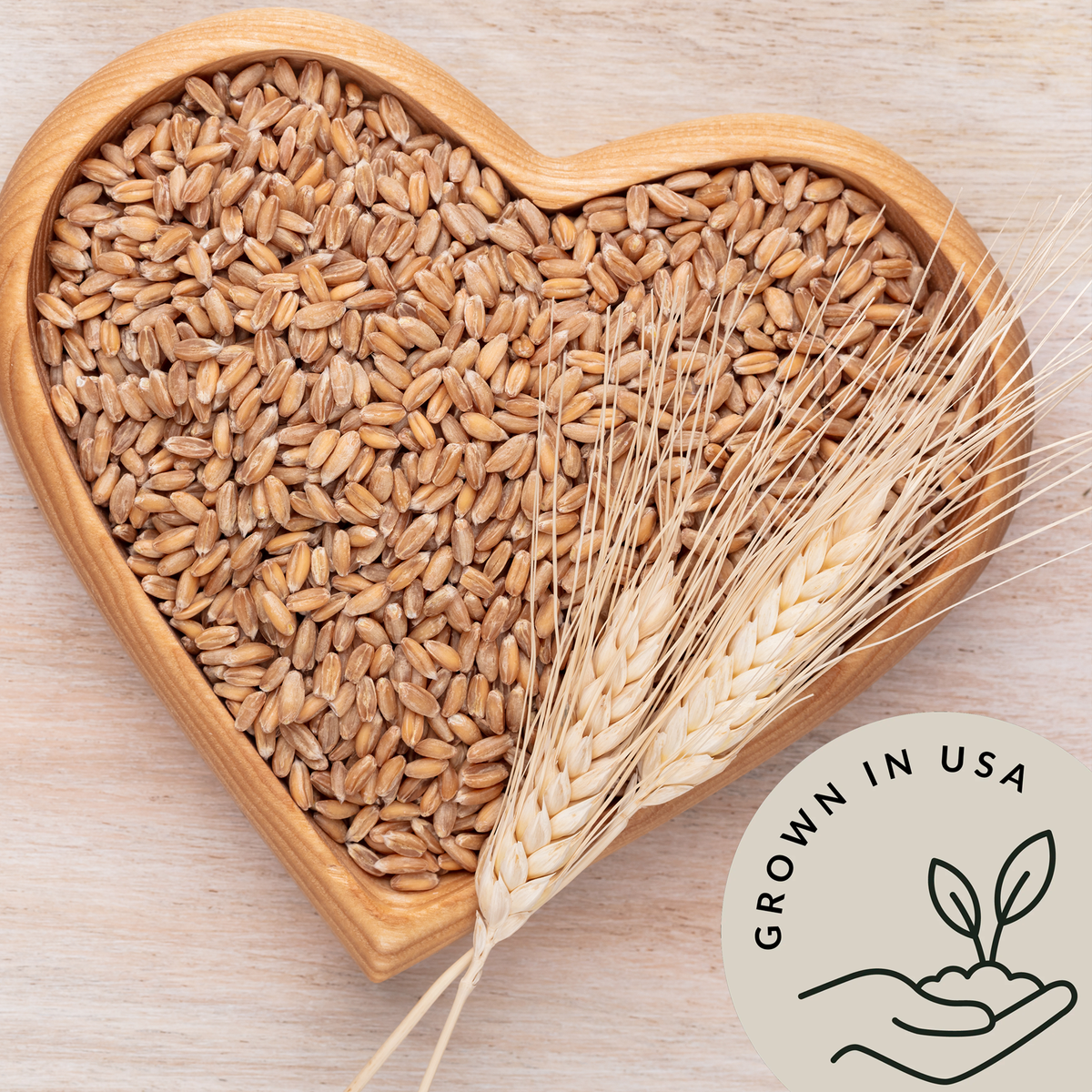 Einkorn Wheat Berries - Be Still Farms grown in USA