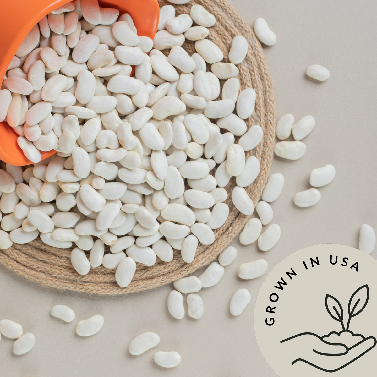 Organic Navy Beans - Be Still Farms grown in USA
