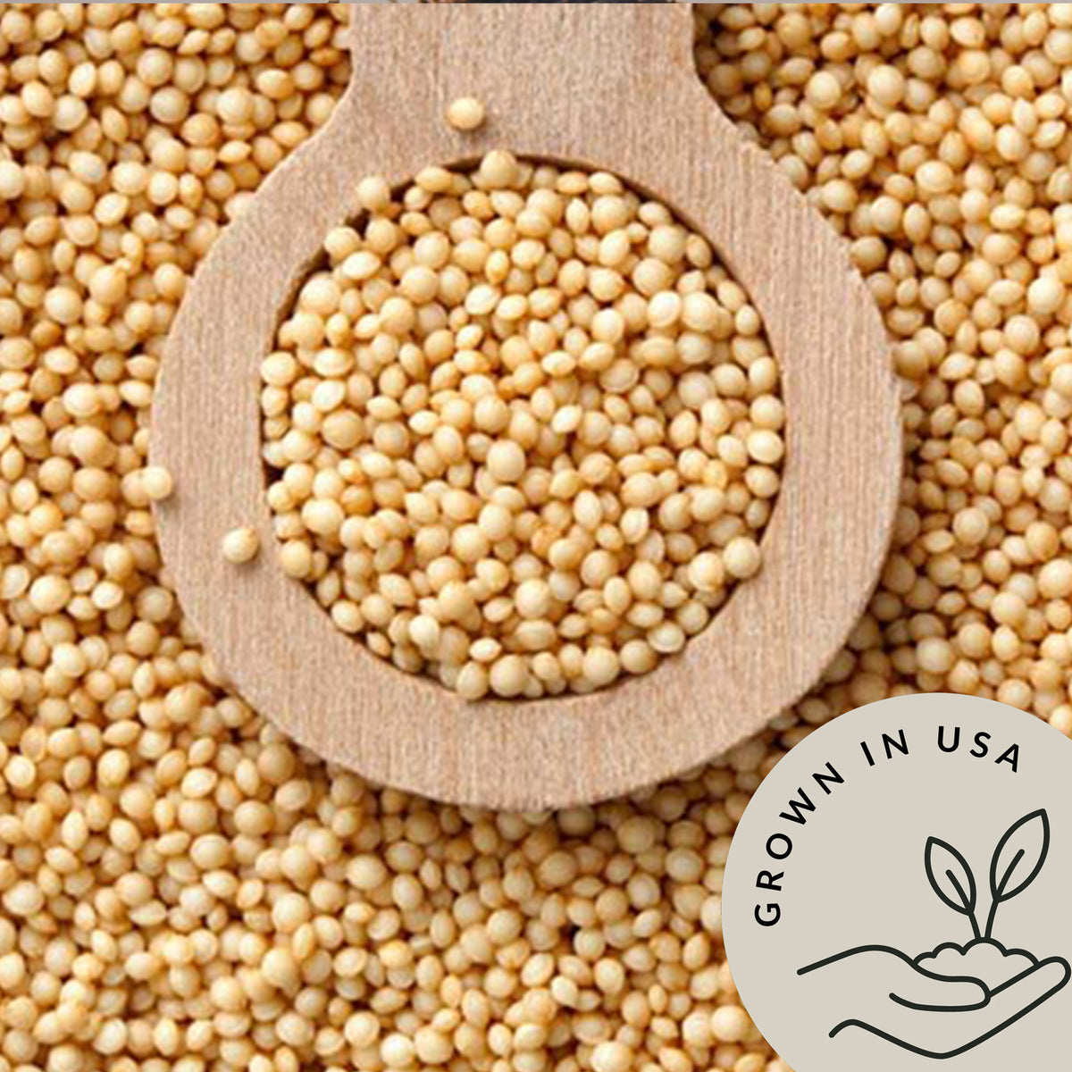 Enjoy amaranth&#39;s nutty flavor and fluffy texture in every dish