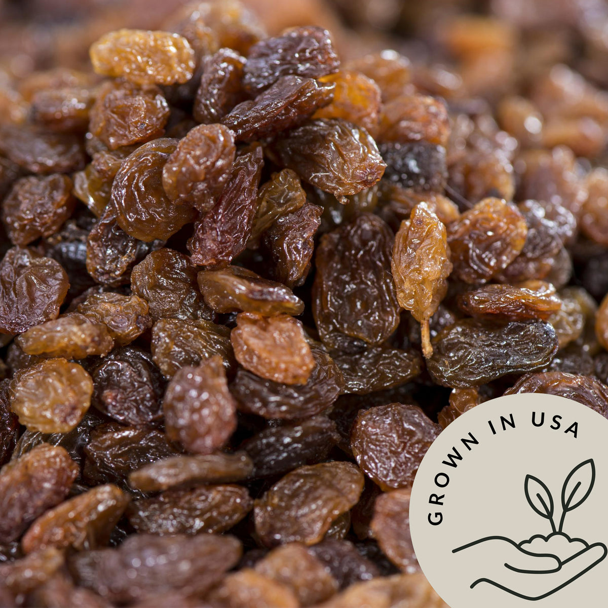  Our raisins are naturally sweet and do not contain any added sugars 