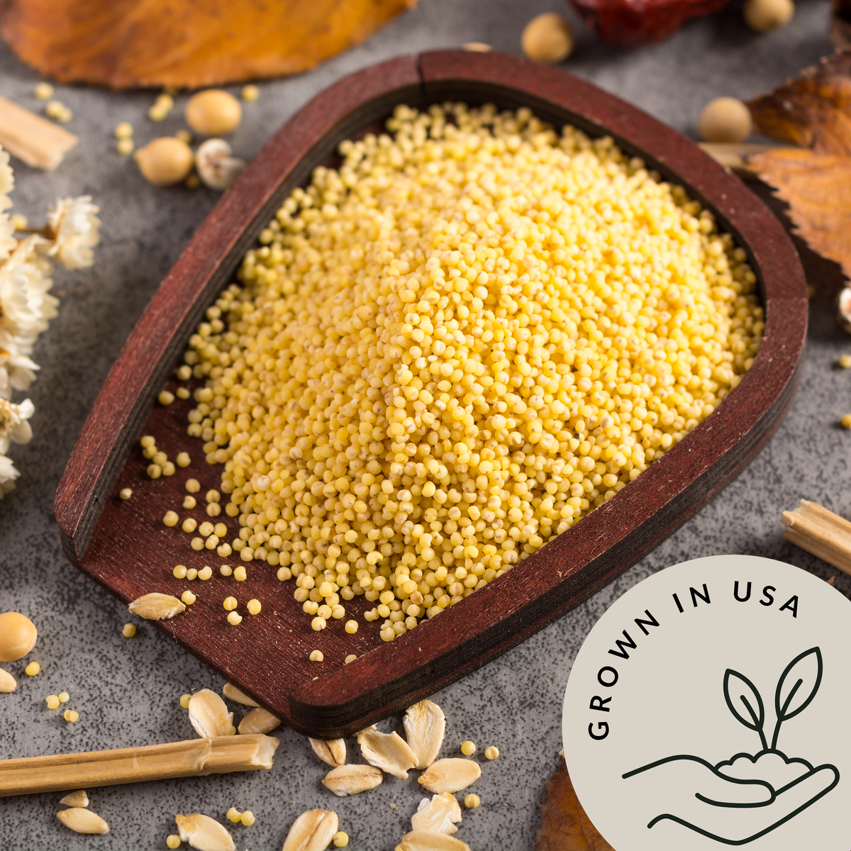 Organic Hulled Millet - Be Still Farms grown in USA