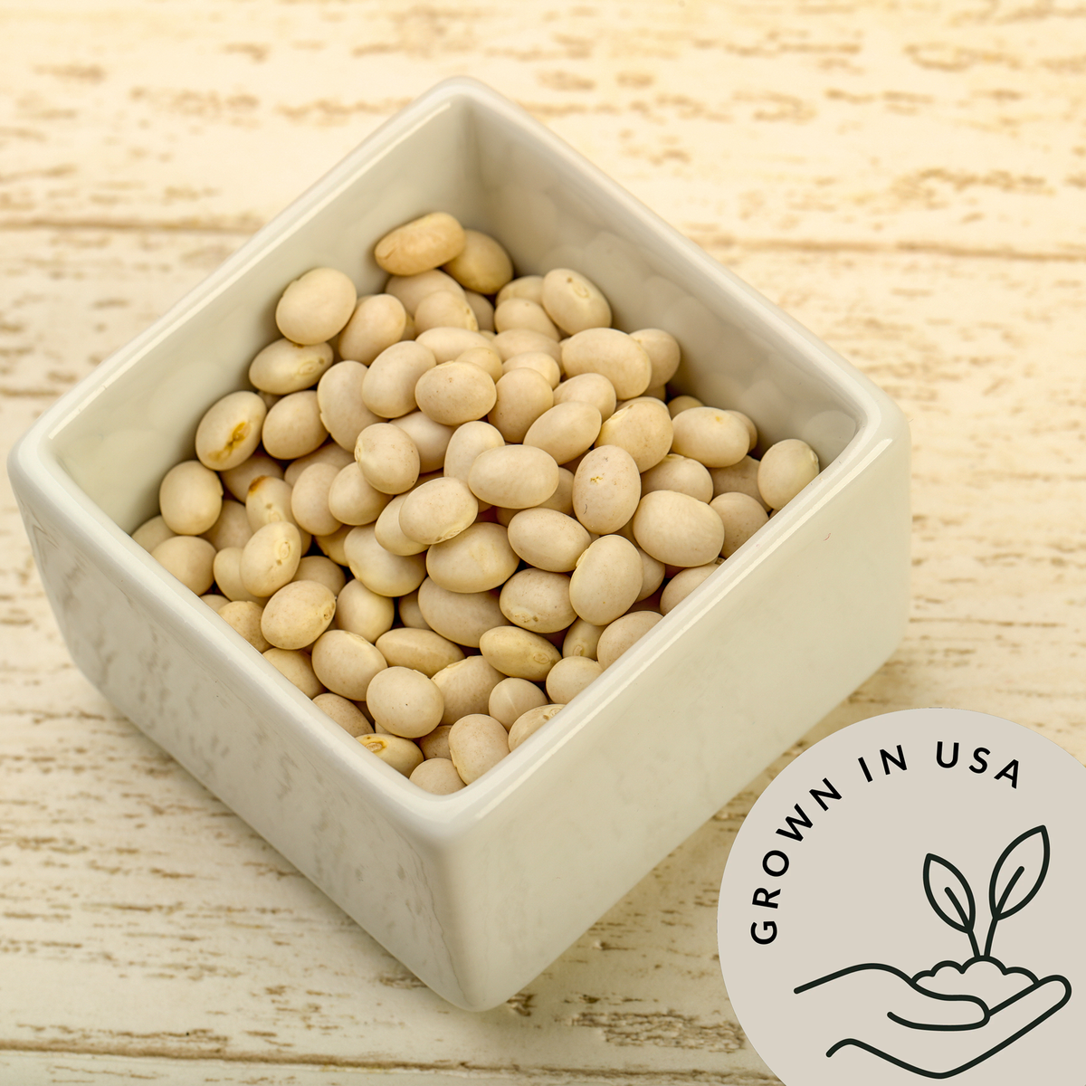Great Northern Beans - Be Still Farms grown in USA