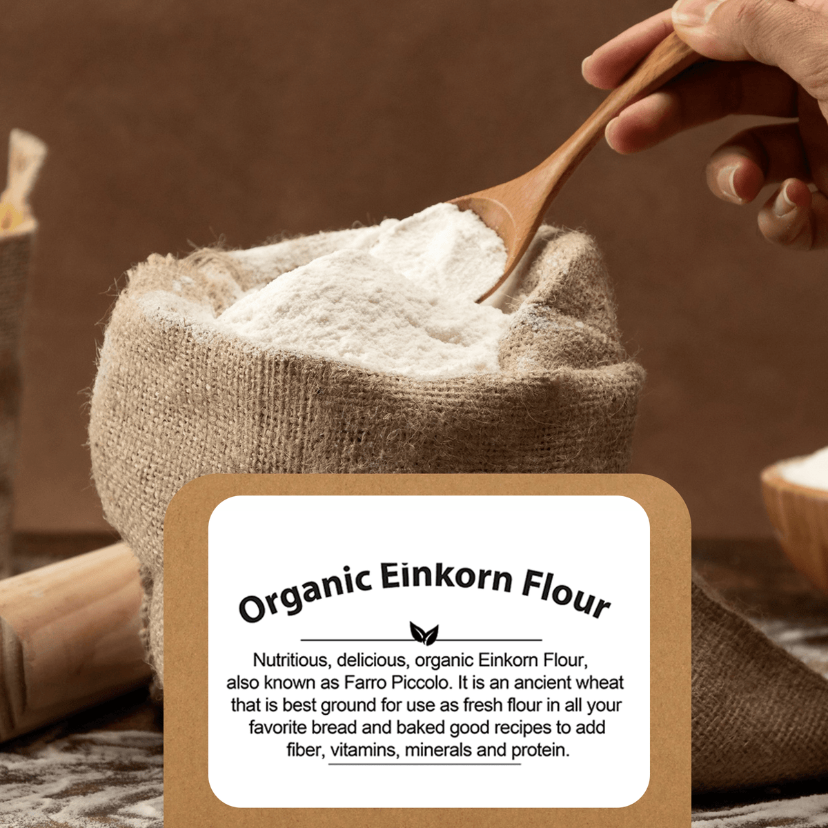 Organic Einkorn Flour, Non-GMO, Bulk Einkorn Flour Organic