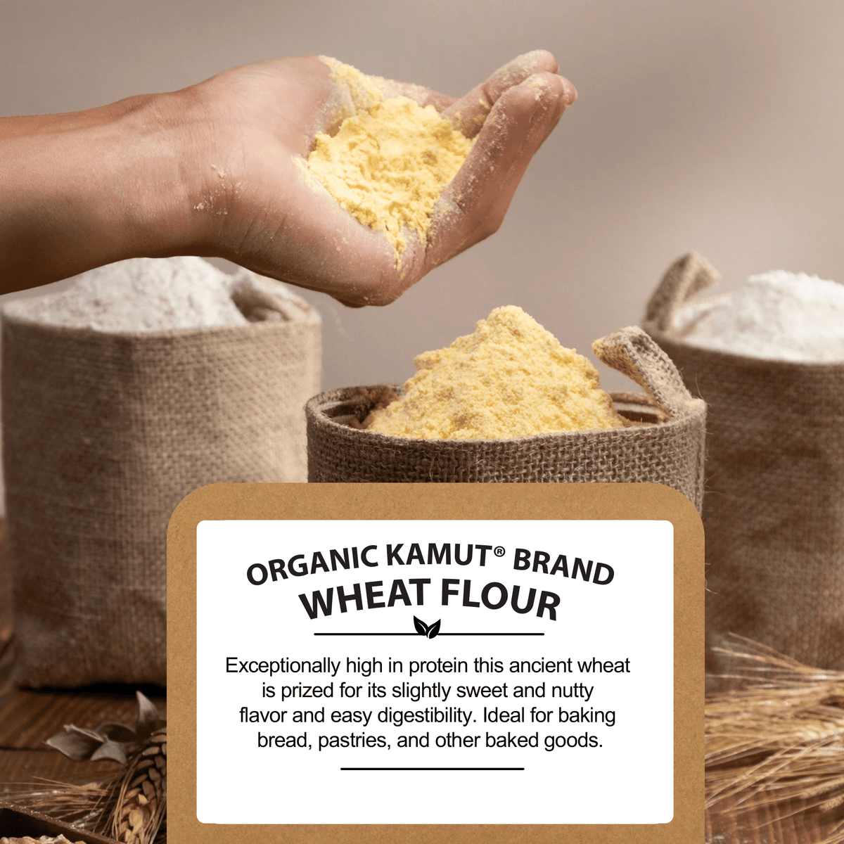 Organic KAMUT️ Flour, Non-GMO, Bulk KAMUT Flour