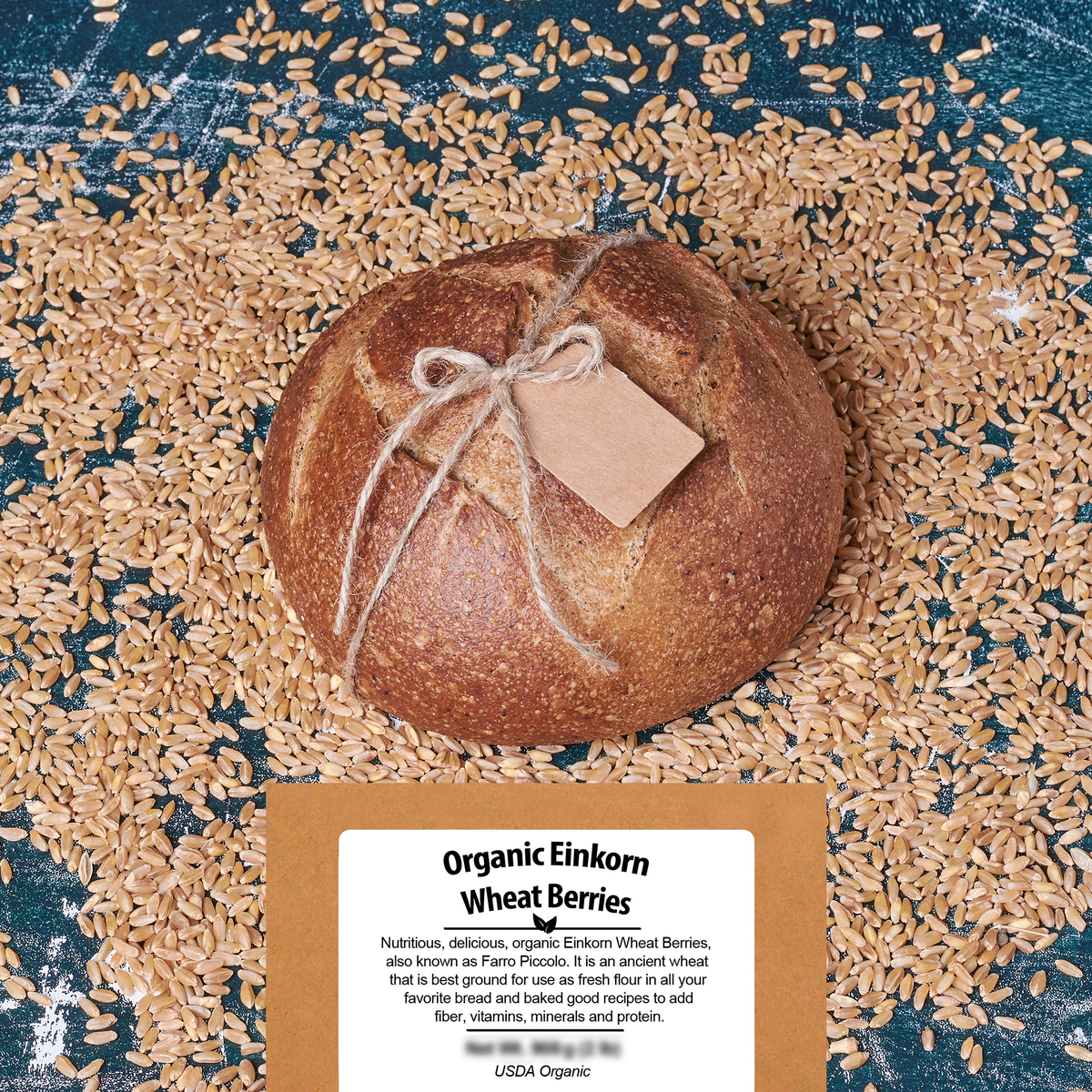 Organic Einkorn Wheat Berries - Be Still Farms - Nutritious, Delicious, Organic Einkorn Berries