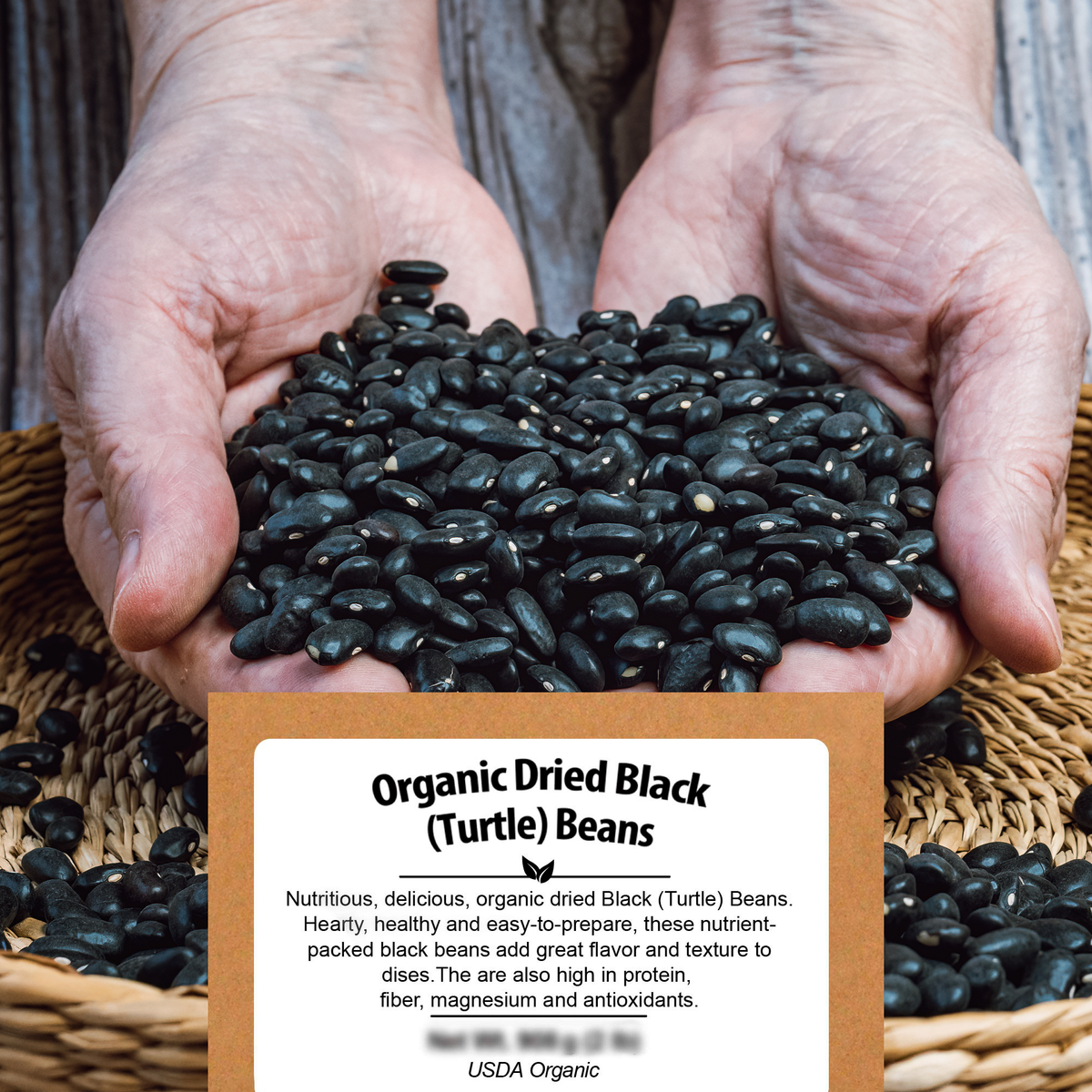 Organic Black Turtle Beans - Be Still Farms - Nutritious, delicious, black turtle beans