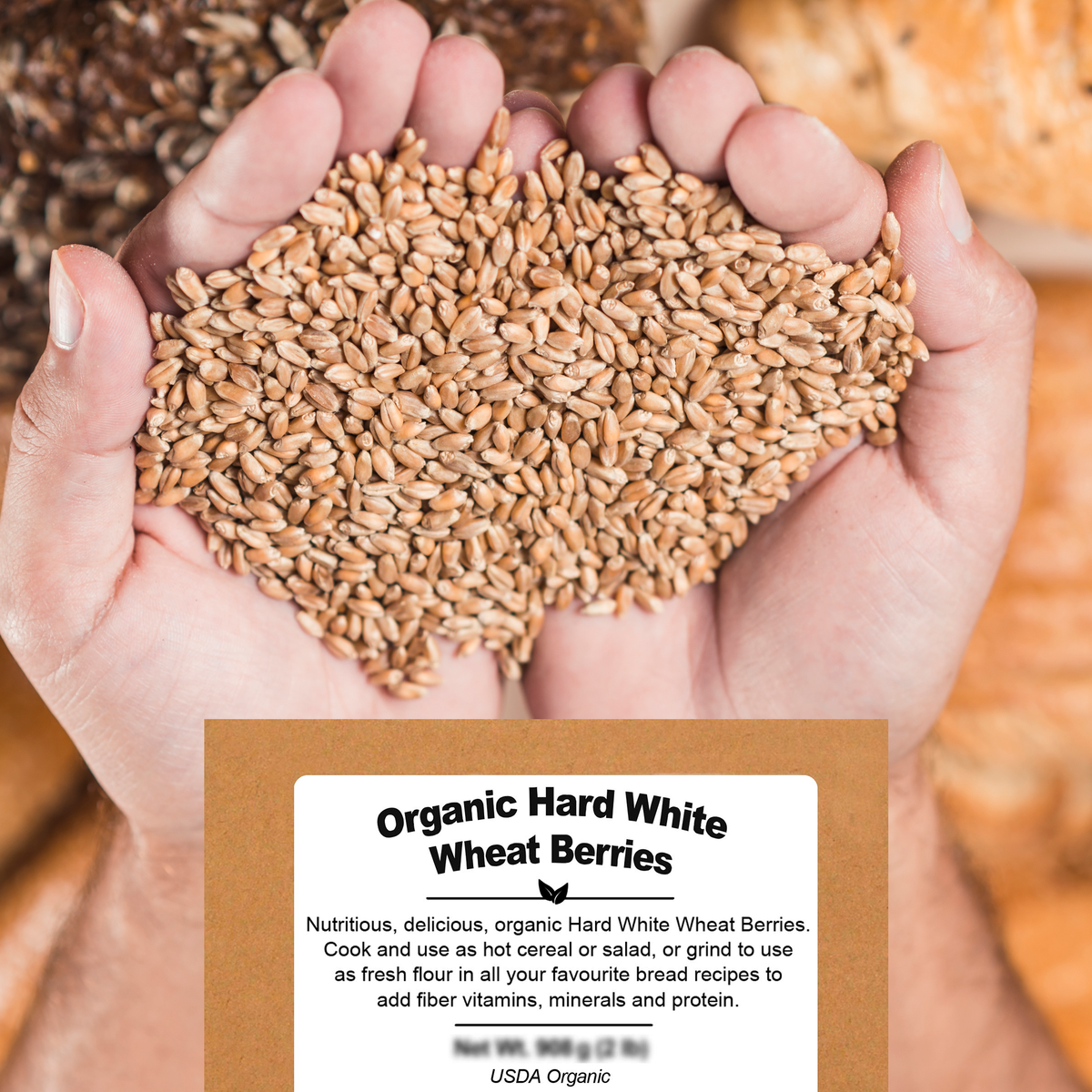Organic Hard White Wheat Berries - Be Still Farms - Nutritious, Delicious, Organic Hard White Wheat Berries