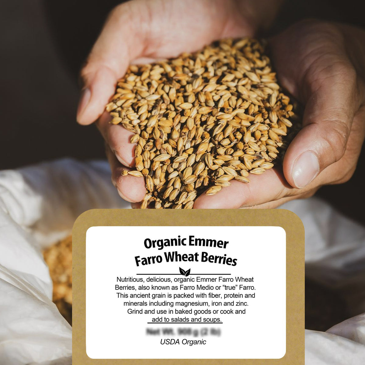 We are proud to serve only the highest quality ingredients