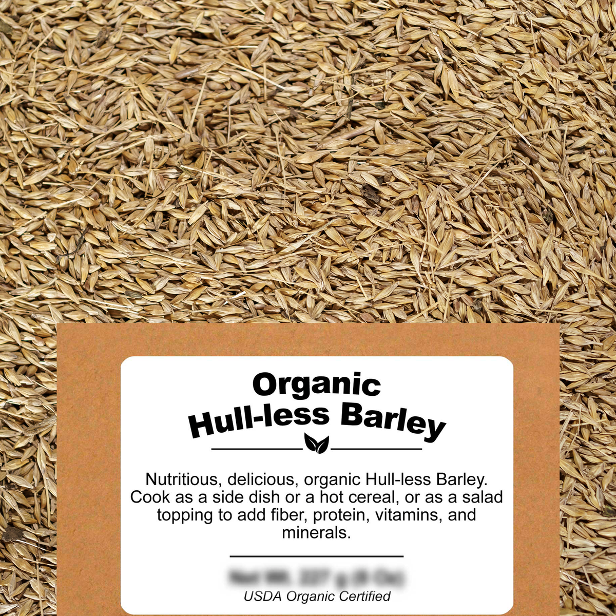Organic Hulless Barley - Be Still Farms - Nutritious, Delicious, Organic Hulless Barley